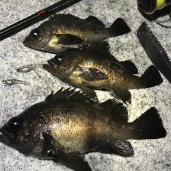 スーパーボウルでメバル